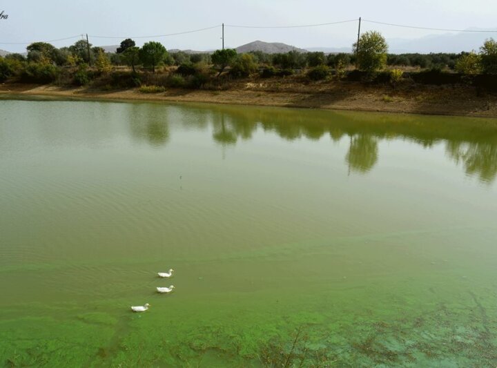 Lake Livada of Thrapsano7